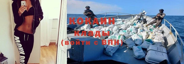 Альфа ПВП Аркадак