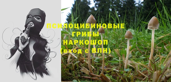 Альфа ПВП Аркадак