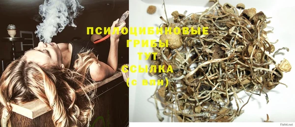 первитин Арсеньев