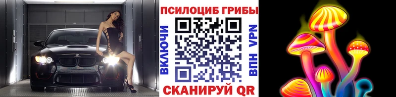 Псилоцибиновые грибы Psilocybe купить закладку Магас